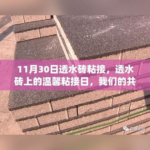 产品中心 第556页