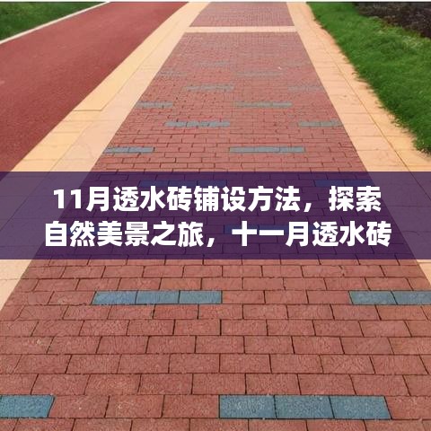 关于我们 第570页