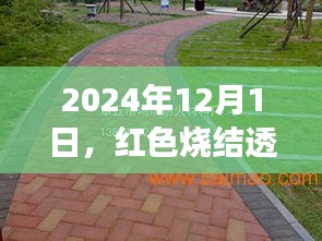 尊道贵德 第5页