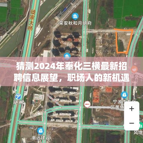 真独简贵 第4页