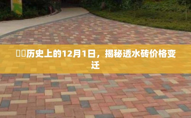 施工现场 第486页