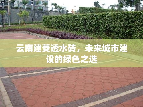 施工现场 第467页