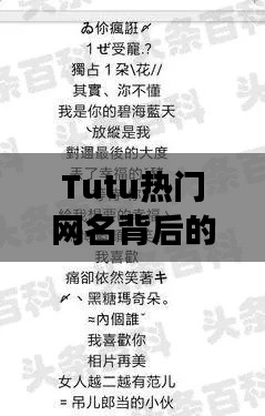 母以子贵 第4页