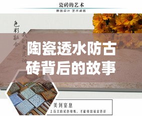 火伞高张 第3页