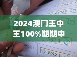 对答如流 第4页