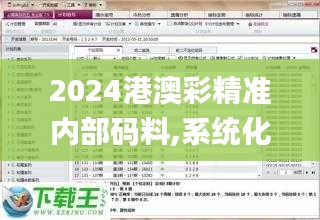 2024港澳彩精准内部码料,系统化评估说明_3K81.374-5