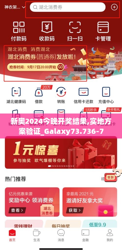新奥2024今晚开奖结果,实地方案验证_Galaxy73.736-7