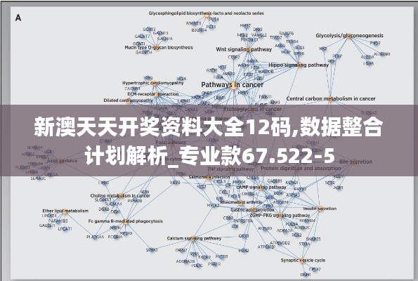 德才兼备 第4页