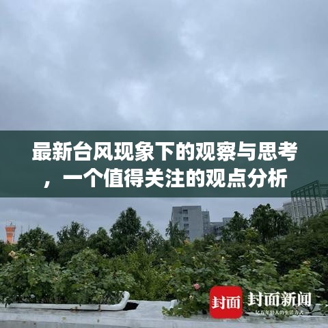展翅高飞 第3页