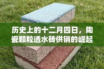 澹泊明志 第3页
