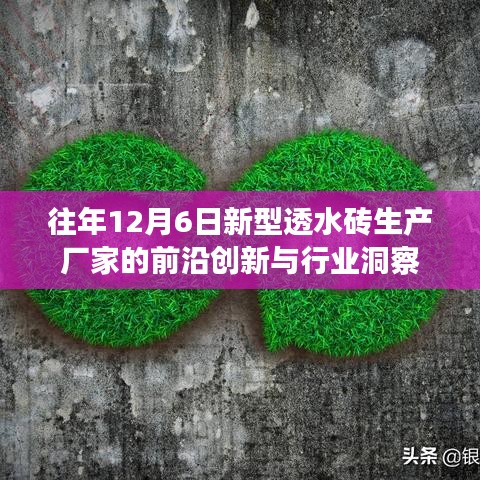 新型透水砖生产厂家的前沿创新与行业洞察——历年12月6日回顾