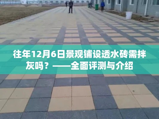 穷鸟入怀 第3页
