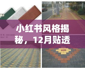 推襟送抱 第3页