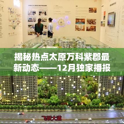 东张西望 第3页