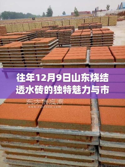 施工现场 第341页