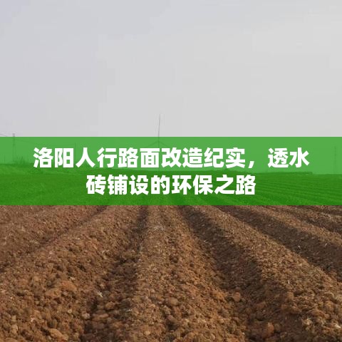 洛阳人行路面改造纪实，透水砖铺设环保之路的探索