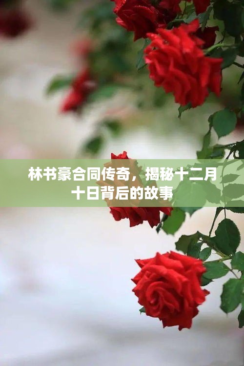 劳燕分飞 第3页