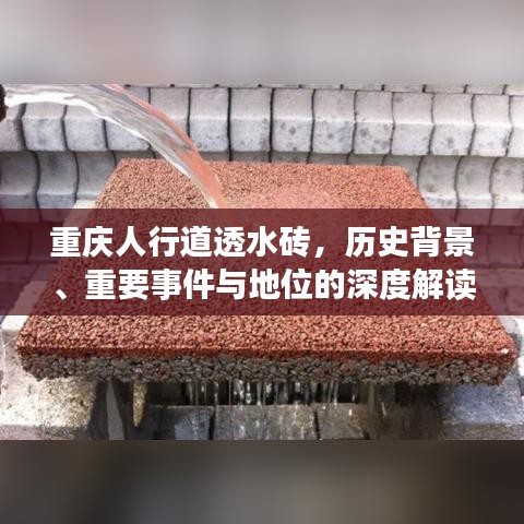 纲挈目张 第3页
