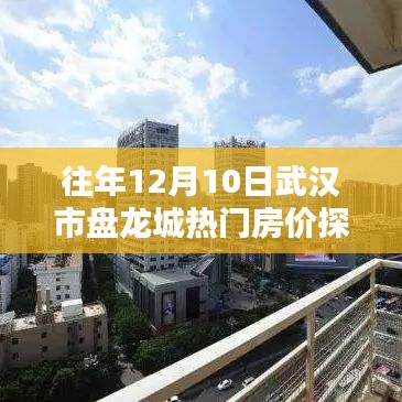 往年12月10日武汉市盘龙城热门房价深度解析
