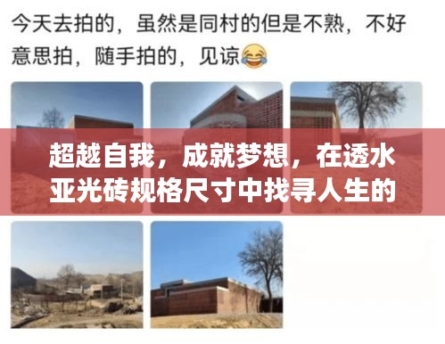 贵极人臣 第3页