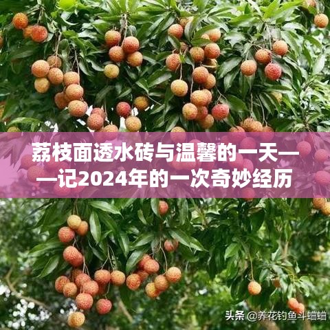 风流倜傥 第2页