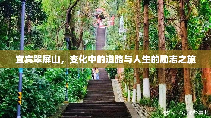 一花独放 第2页