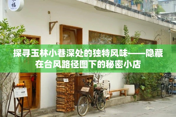 夯雀儿先飞 第3页