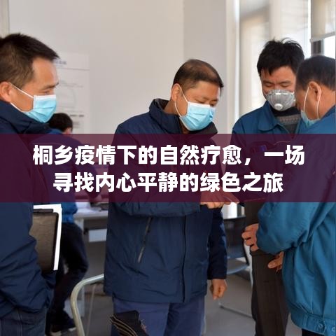 桐乡疫情下的自然疗愈，绿色之旅寻找内心平静