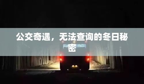 公交奇遇，探寻冬日的未知秘密