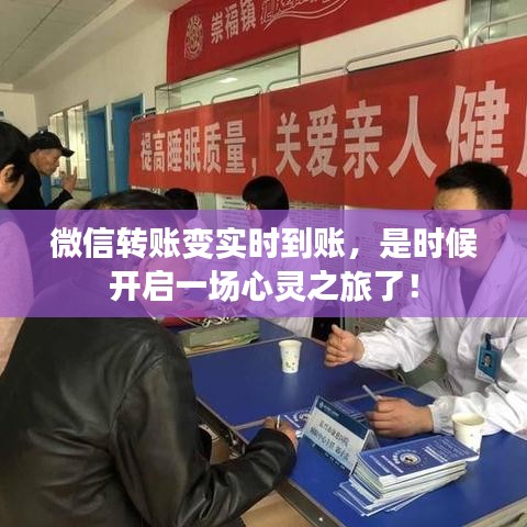 越鸟南栖 第2页