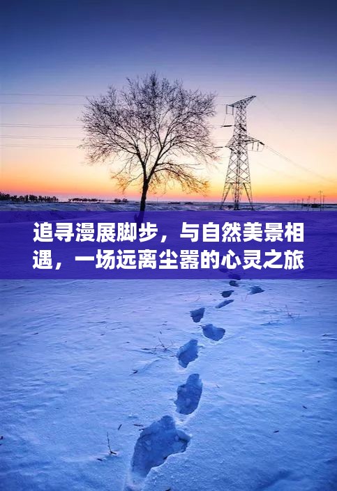 囫囵吞枣 第3页