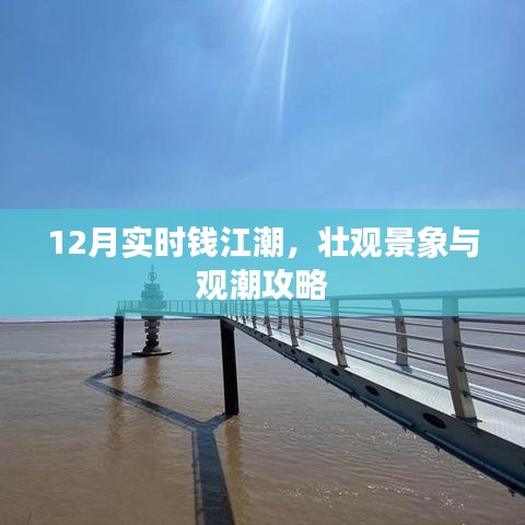 施工现场 第223页