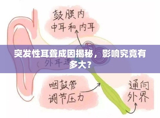 乌鸟之情 第2页