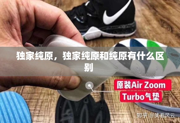 新澳中心 第206页