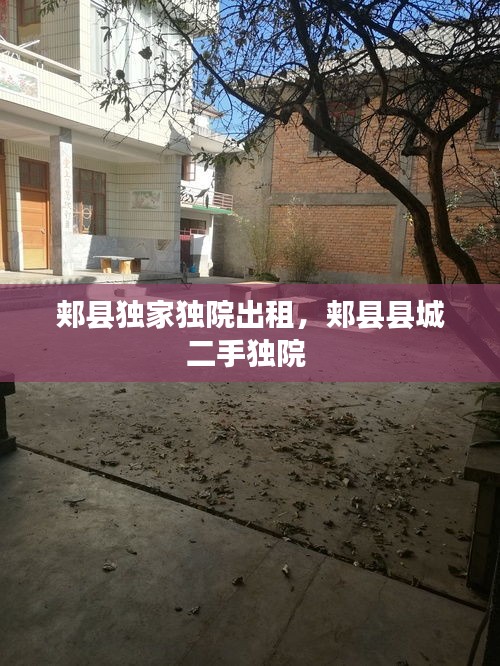 浅笑轻吟梦一曲 第3页