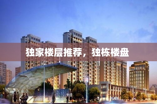 达官贵人 第2页