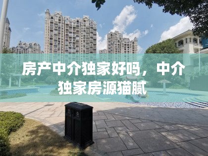 和为贵 第2页
