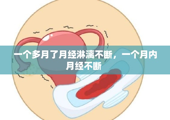 飞奇钩货 第2页