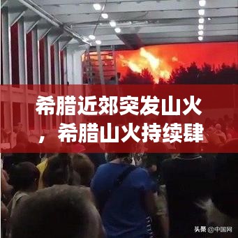 笼鸟槛猿 第2页