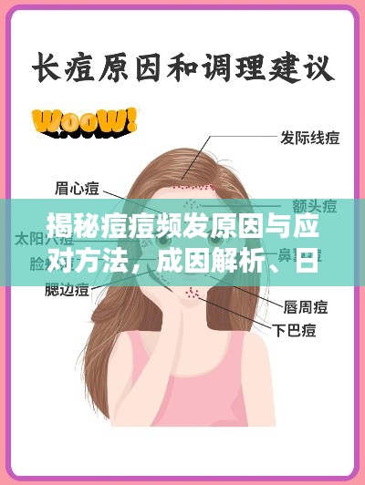 走马观花 第2页
