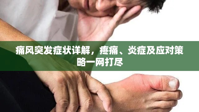 施工现场 第161页