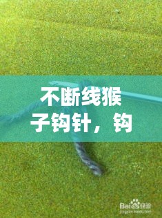 光明磊落 第2页