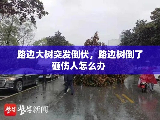 囊萤映雪 第2页