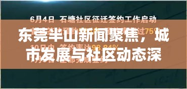 开张圣听 第2页
