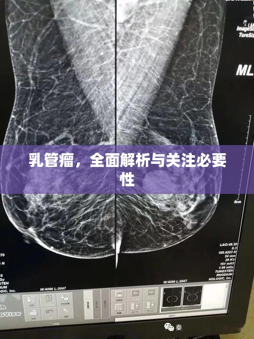 凤毛麟角 第2页