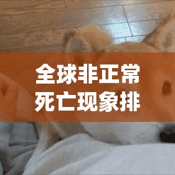 施工现场 第125页