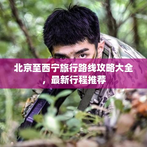 栖冲业简 第2页