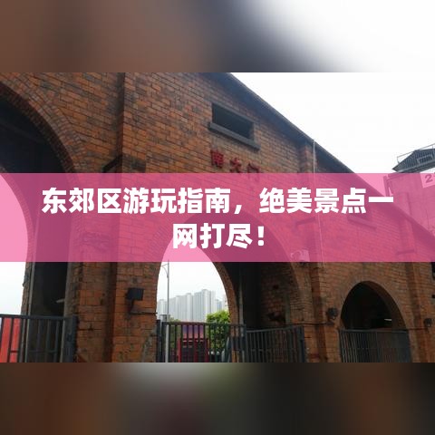 还朴反古