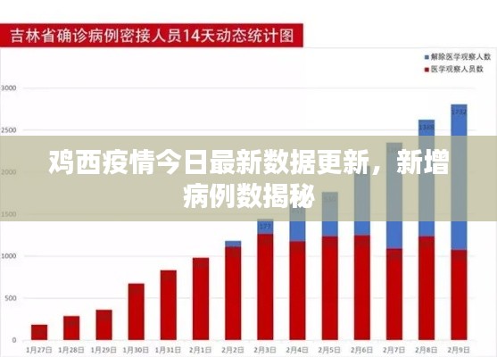 雍容典雅