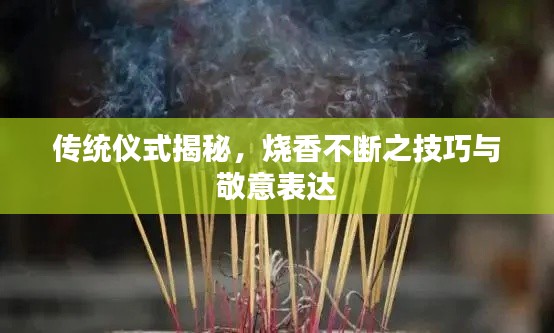关于我们 第28页